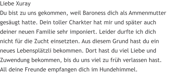 Liebe Xuray Du bist zu uns gekommen, weil Baroness dich als Ammenmutter ges�ugt hatte. Dein toller Charkter hat mir und sp�ter auch deiner neuen Familie sehr imponiert. Leider durfte ich dich nicht f�r die Zucht einsetzten. Aus diesem Grund hast du ein neues Lebenspl�tzli bekommen. Dort hast du viel Liebe und  Zuwendung bekommen, bis du uns viel zu fr�h verlassen hast. All deine Freunde empfangen dich im Hundehimmel.