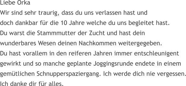 Liebe Orka Wir sind sehr traurig, dass du uns verlassen hast und  doch dankbar f�r die 10 Jahre welche du uns begleitet hast. Du warst die Stammmutter der Zucht und hast dein wunderbares Wesen deinen Nachkommen weitergegeben. Du hast vorallem in den reiferen Jahren immer entschleunigent  gewirkt und so manche geplante Joggingsrunde endete in einem gem�tlichen Schnupperspaziergang. Ich werde dich nie vergessen. Ich danke dir f�r alles.
